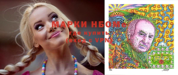 ПСИЛОЦИБИНОВЫЕ ГРИБЫ Алзамай