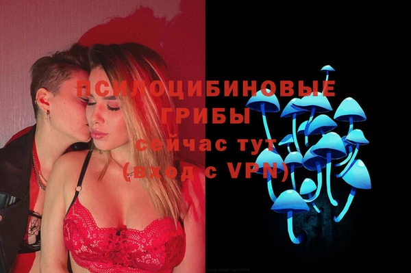 ПСИЛОЦИБИНОВЫЕ ГРИБЫ Алзамай