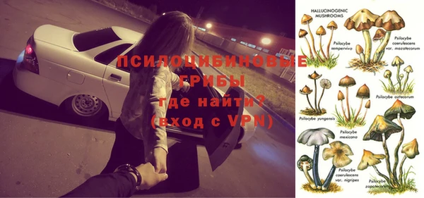 круглые Алексеевка